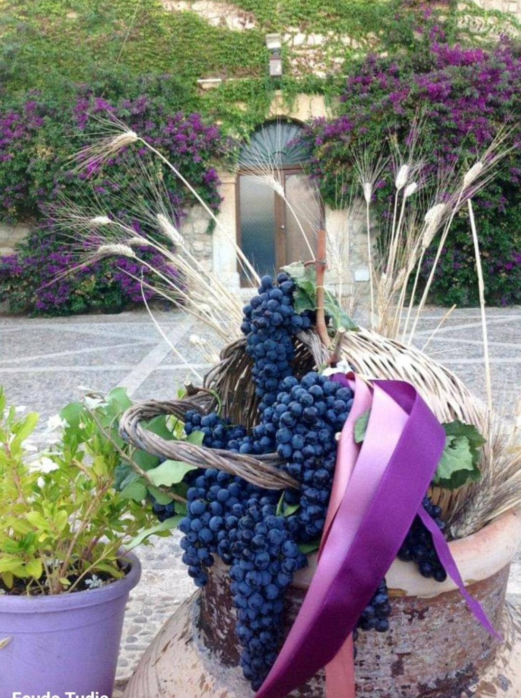 Agriturismo Feudo Tudia Landro Dış mekan fotoğraf